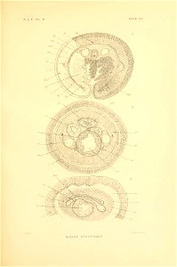 n154_w1150
