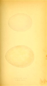 n138_w1150