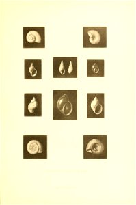 n178_w1150