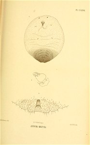n274_w1150