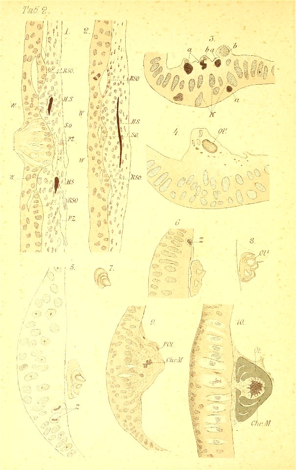 n131_w1150