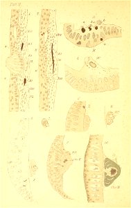 n131_w1150