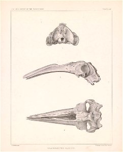 n16_w1150
