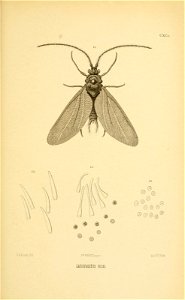 n398_w1150