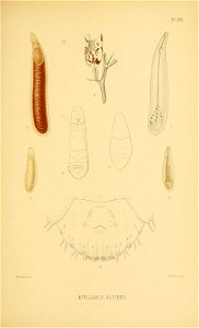 n172_w1150