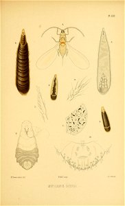 n170_w1150