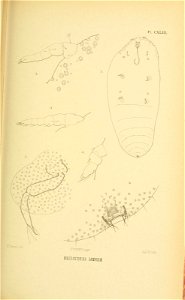 n182_w1150