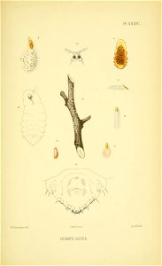 n120_w1150