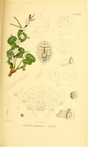 n234_w1150