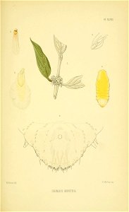 n176_w1150