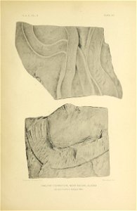 n242_w1150