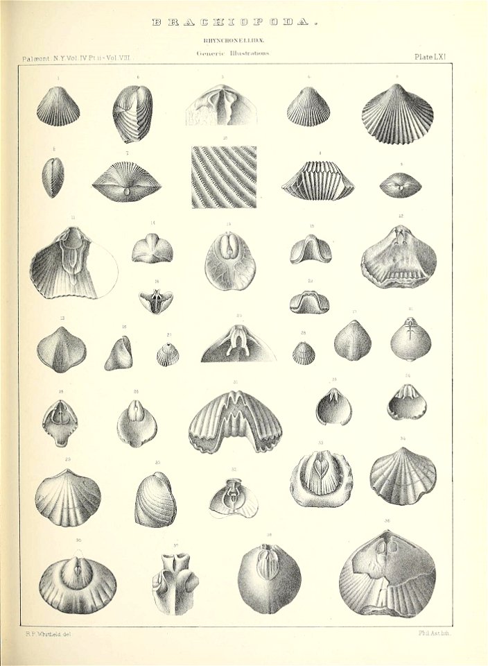 n580_w1150