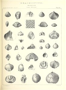 n580_w1150