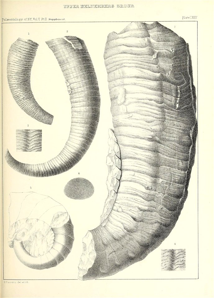 n592_w1150