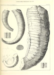 n592_w1150