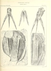 n530_w1150