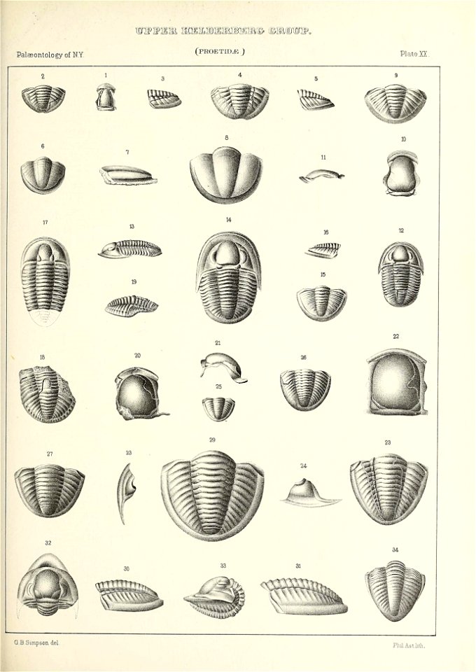 n468_w1150