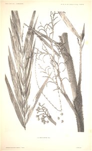 n56_w1150