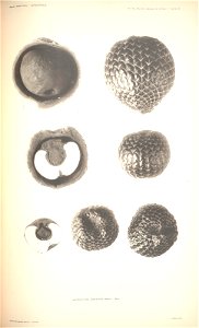 n118_w1150