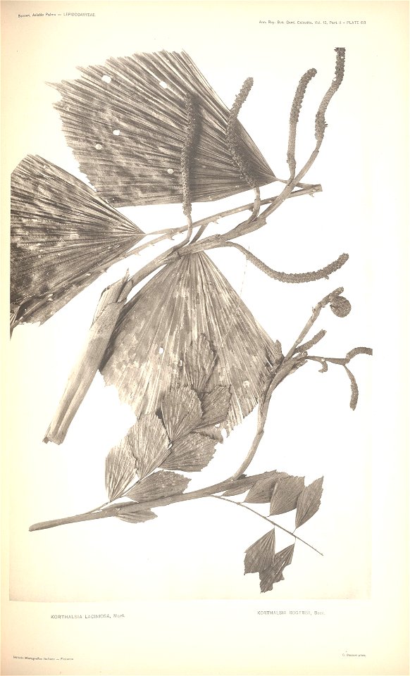 n88_w1150