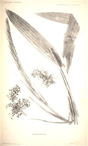 n84_w1150