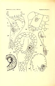 n183_w1150