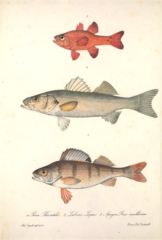 n45_w1150