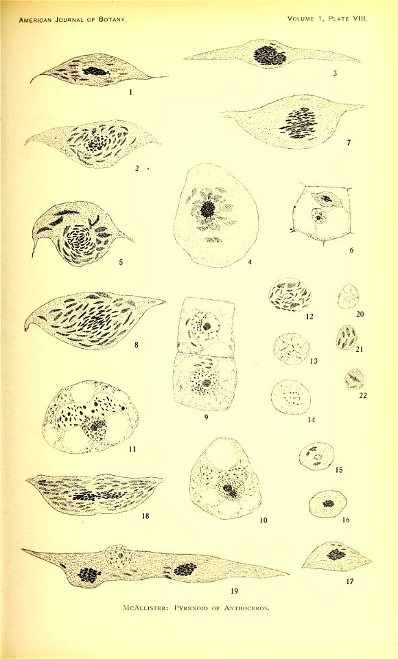n132_w1150