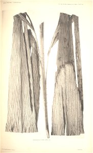 n101_w1150
