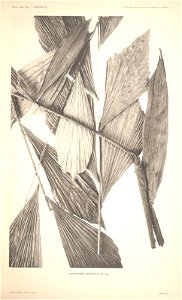 n10_w1150