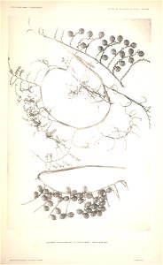 n67_w1150