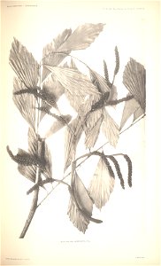 n84_w1150
