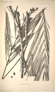n103_w1150