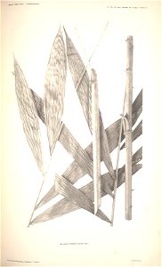 n81_w1150