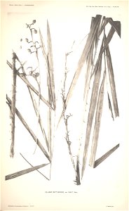 n66_w1150