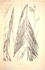 n5_w1150