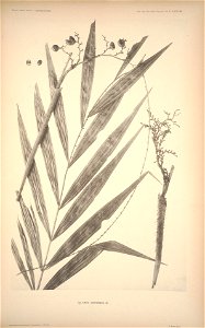 n149_w1150