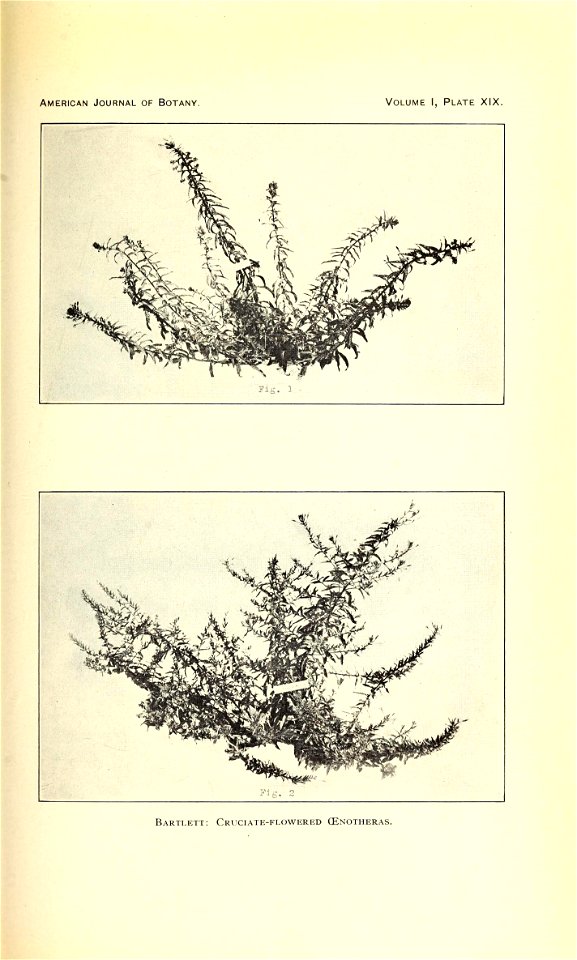 n314_w1150