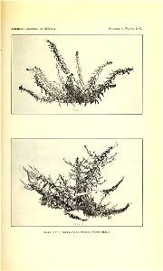 n314_w1150