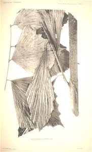 n97_w1150