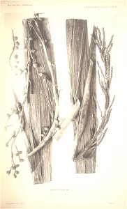 n67_w1150