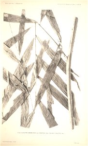 n37_w1150