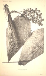 n7_w1150