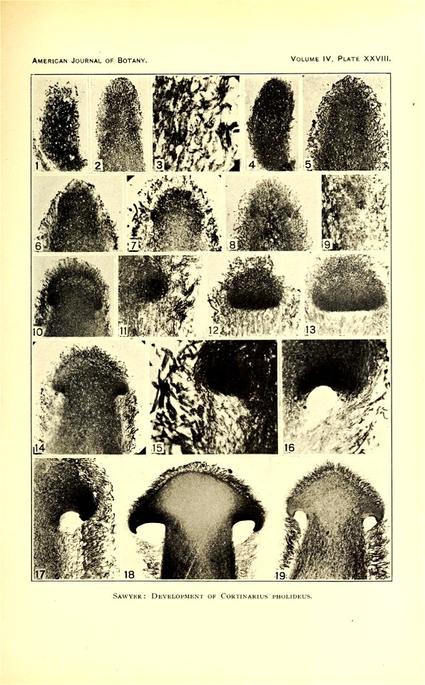 n616_w1150