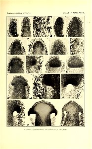 n616_w1150