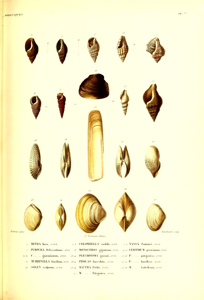 n394_w1150