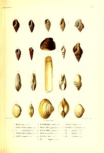n394_w1150