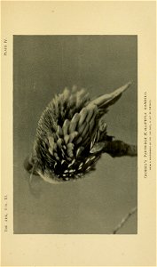 n164_w1150