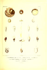 n358_w1150