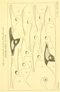 n216_w1150